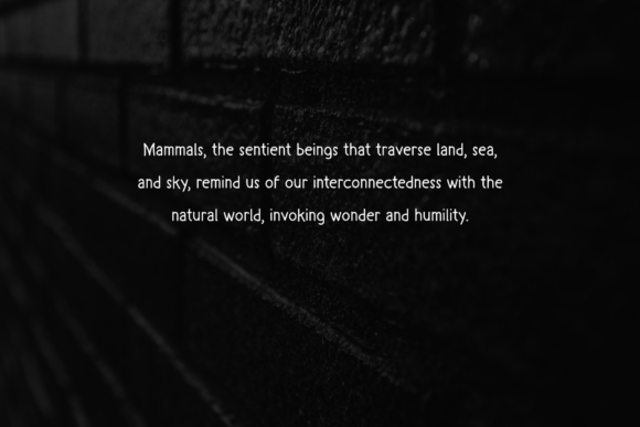 Mamallia Font PNG with transparent background - Preview 3