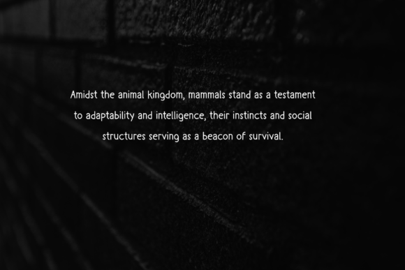 Mamallia Font PNG with transparent background - Preview 4