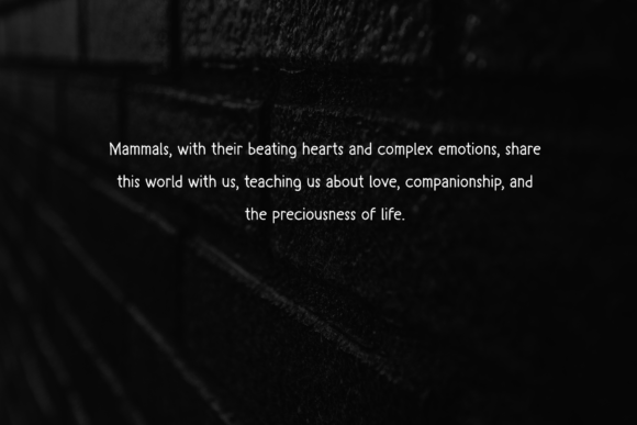 Mamallia Font PNG with transparent background - Preview 5