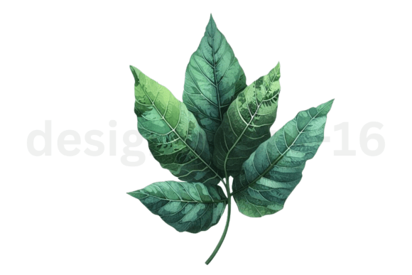 Tropical Greenery Jungle Rainforest PNG