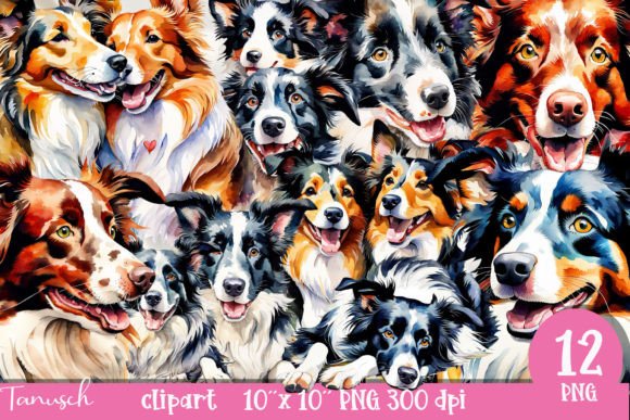 watercolor border collie clipart PNG transparent background sublimation