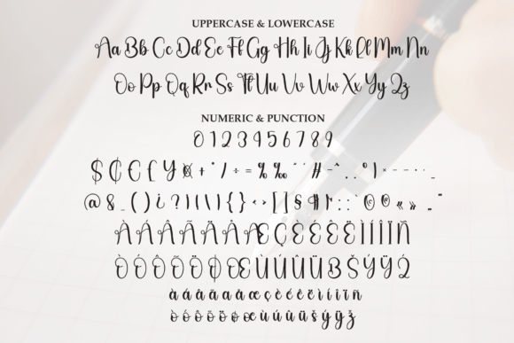 Autography Font - Preview 6