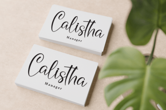 Beauty Font - Preview 3