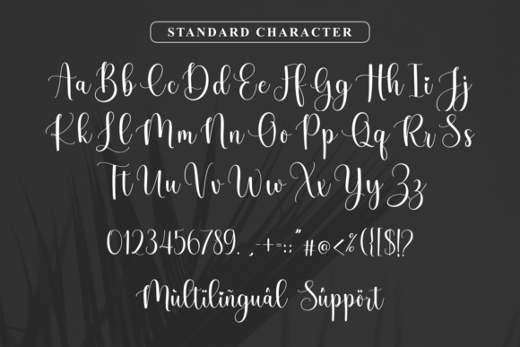 Brushy Font - Preview 6