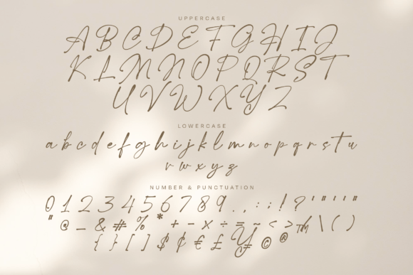 Holadea Script Font - Preview 6