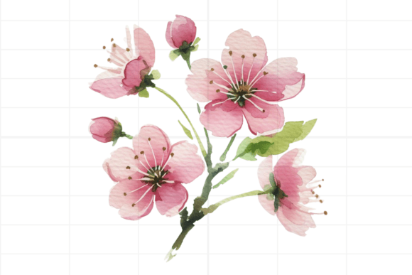Watercolor Drawing Pink Flower
