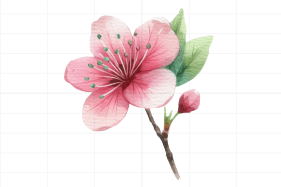 Watercolor Drawing Pink Flower