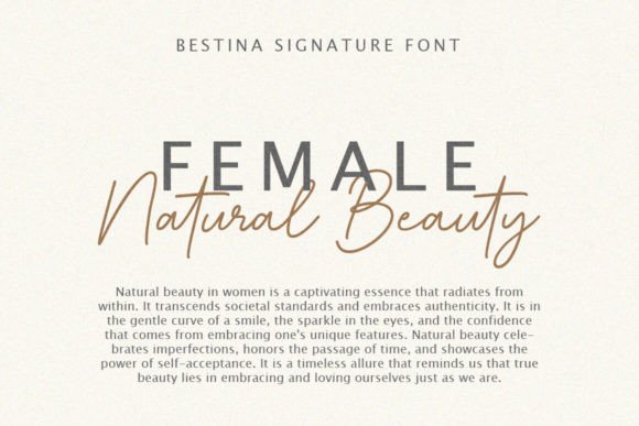 Bestina Signature Font font preview - 4
