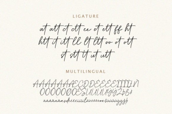 Bestina Signature Font font preview - 6