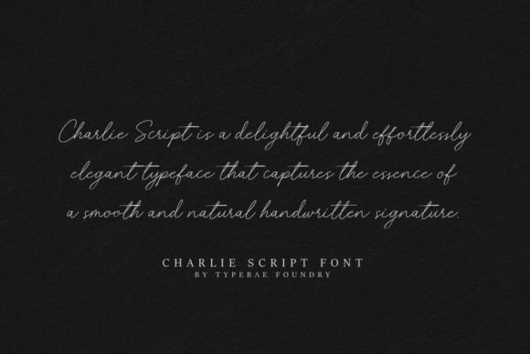 Charlie Script Font - Preview 4