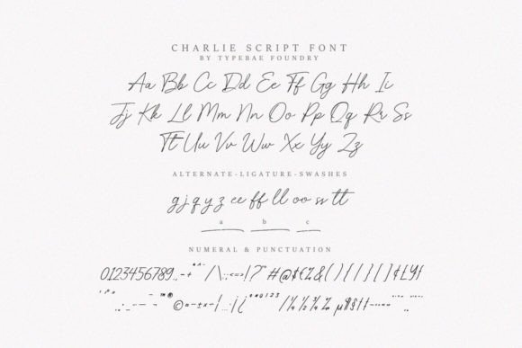 Charlie Script Font - Preview 6