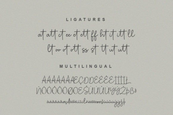 Halistine Signature Font - Preview 6