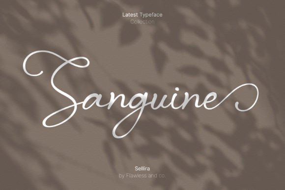 Sellira Font PNG with transparent background - Preview 2
