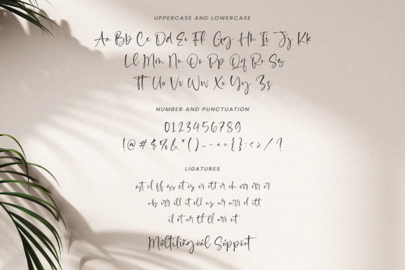 Calista Brighton Font - Preview 5