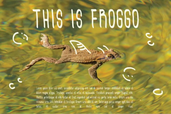 Froggo Font - Preview 3