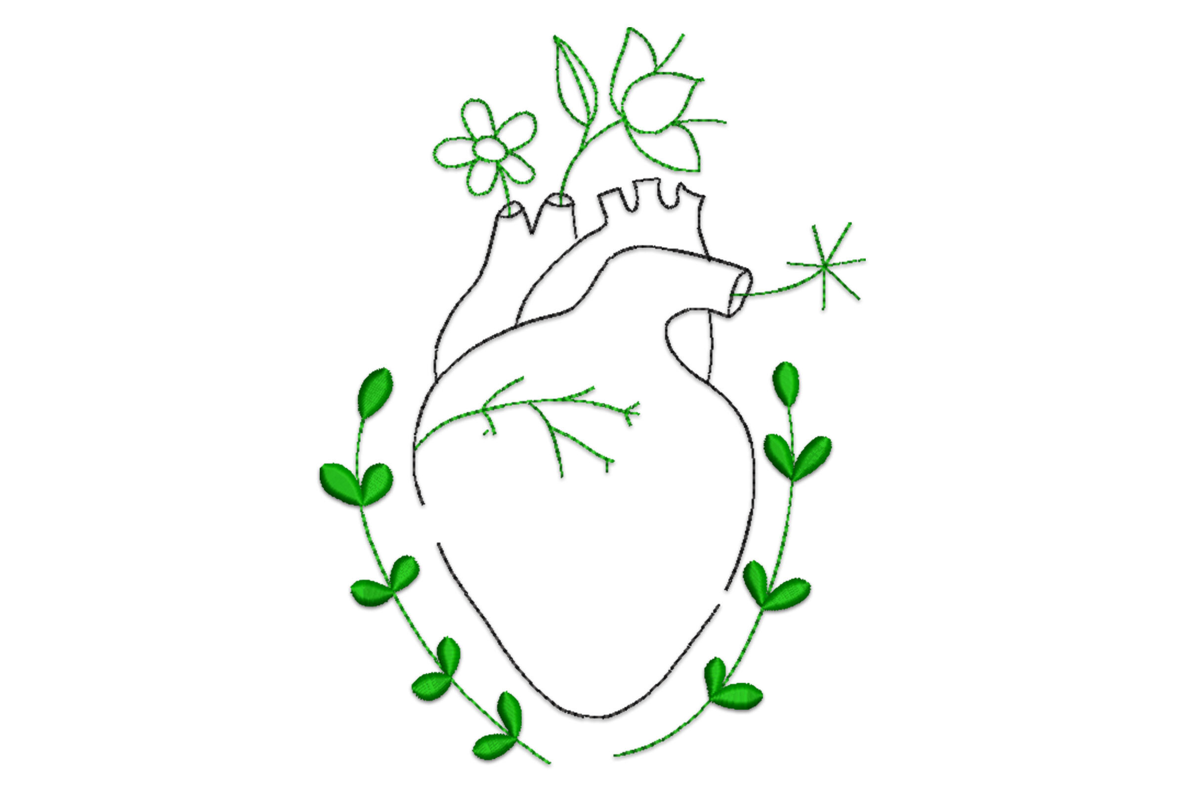 Human Heart Line Art