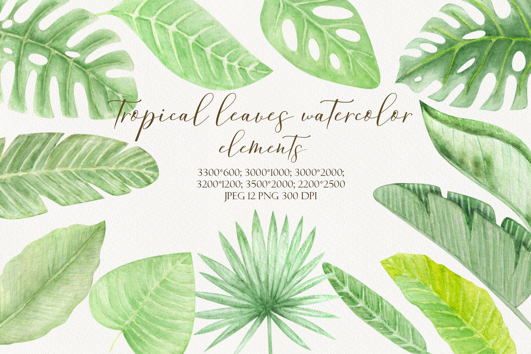 Tropical Leaves Watercolor Hand Drawn Graphic by mayksyu · Creative Fabrica