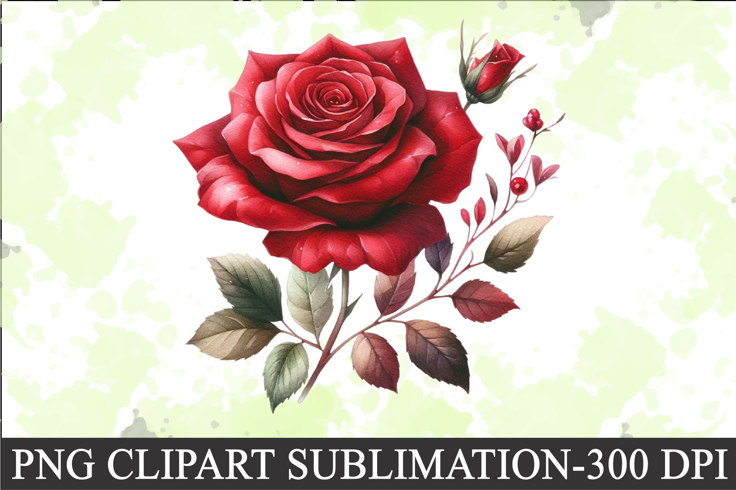 Valentine Red Rose Clipart Sublimation Graphic by CitraGraphics ...
