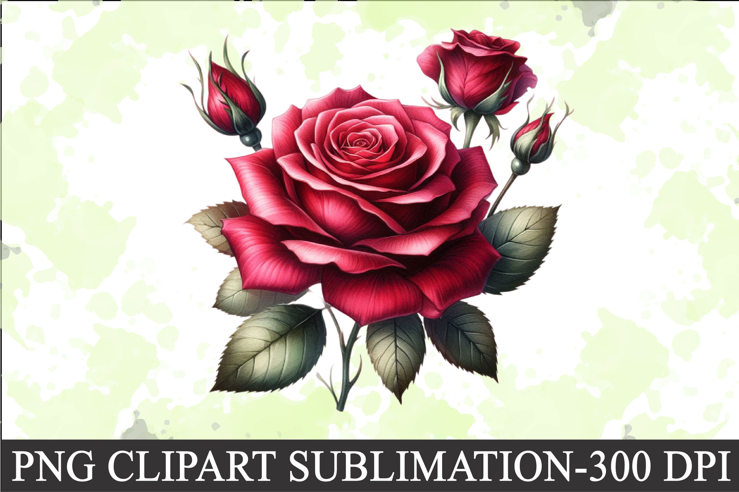 Valentine Red Rose Clipart Sublimation Graphic by CitraGraphics ...