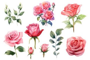 Watercolor Rose Flowers Clipart Png Set Graphic by sayedhasansaif04 ...
