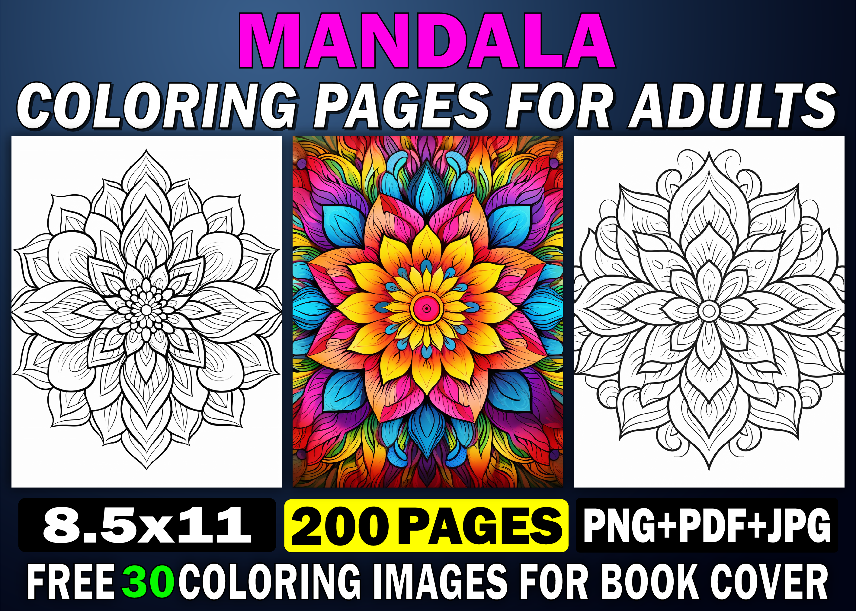 200 Mandala Coloring Pages for Adults