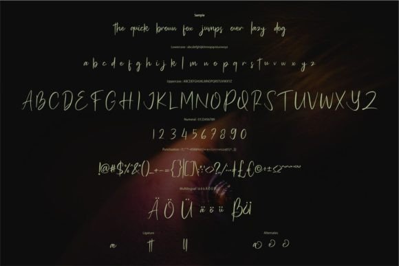 Bella Rosa Font - Preview 5