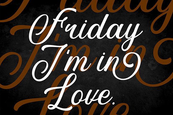 Flamingo Beauty Font - Preview 4