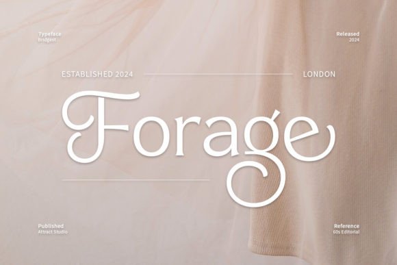 Bridgest Font - Preview 6