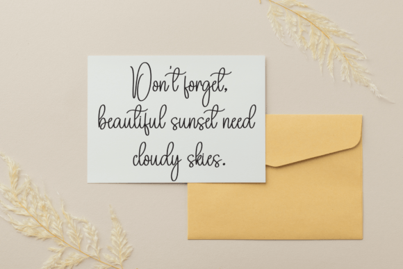 Camilla Calligraph Font - Preview 2