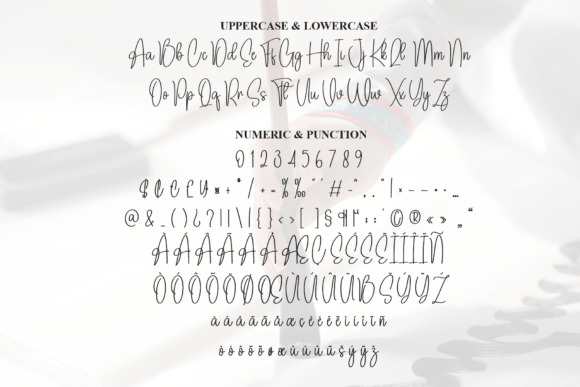 Camilla Calligraph Font - Preview 6