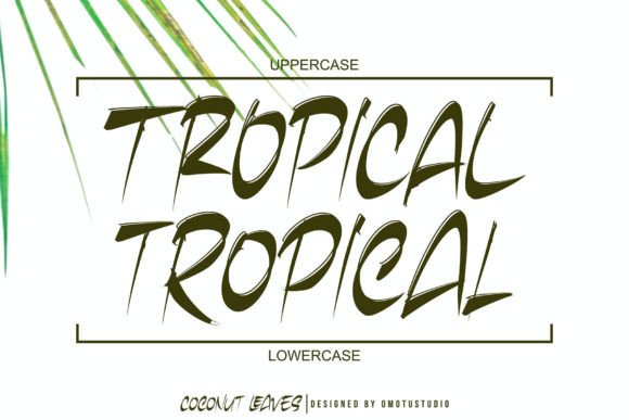 Coconut Leaves Font - Preview 6