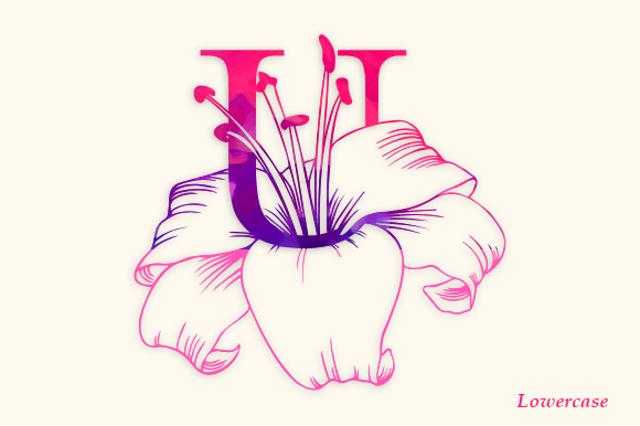 Flower Lily Monogram Font - Preview 2