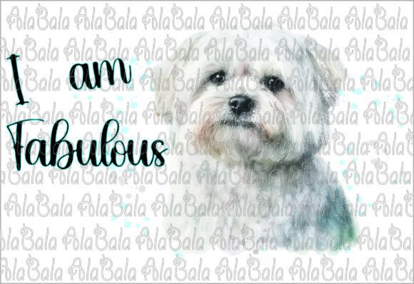 Maltese Dog Png Clipart Sublimation Graphic Illustrations By AlaBala