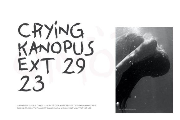Qimono Font font preview - 2