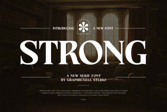 Strong Serif Font By Graphicxell