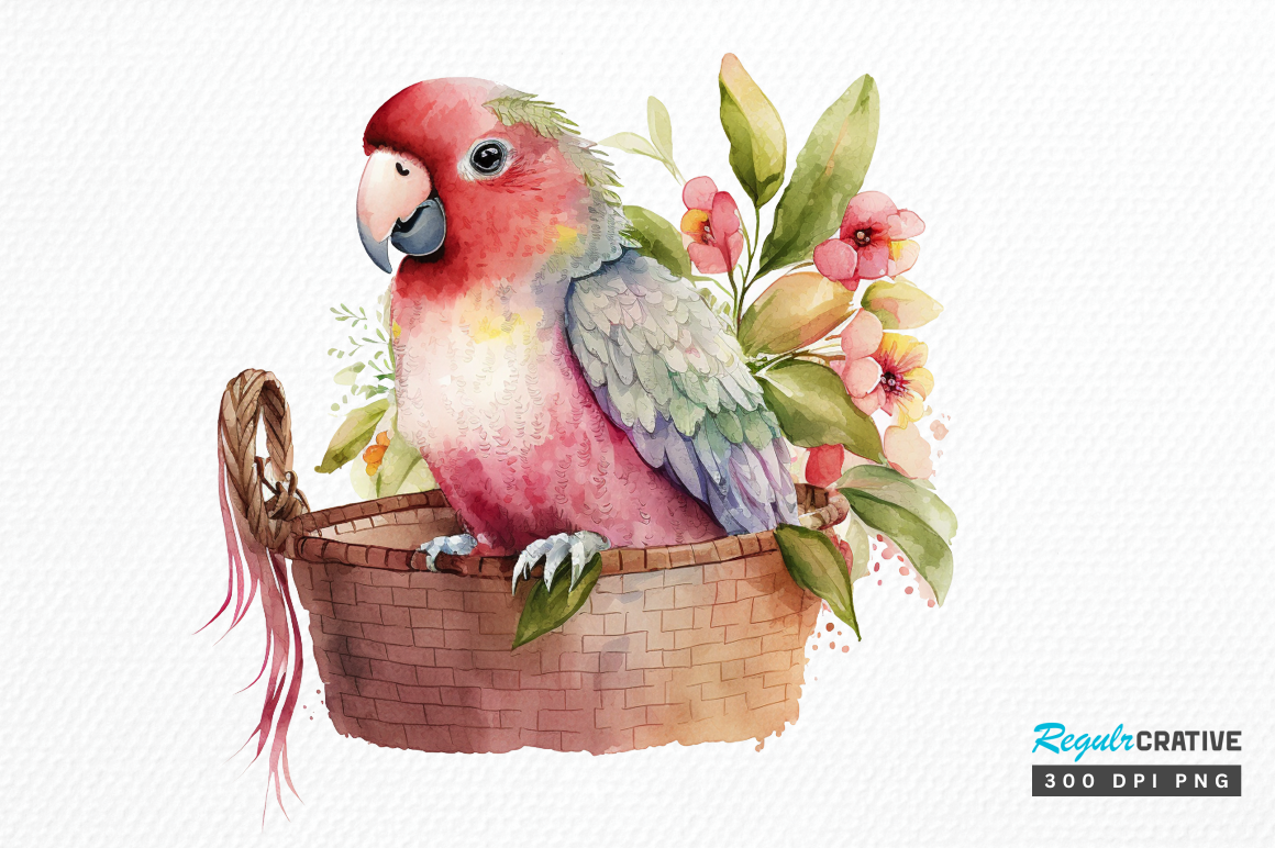 Watercolor Pink Parrot in Basket Clipar Graphic by Regulrcrative ...
