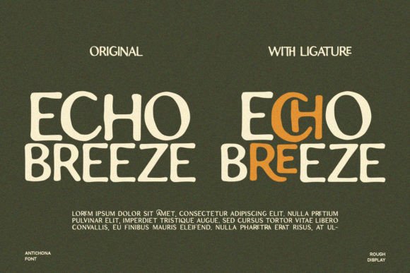Antichona Font - Preview 2