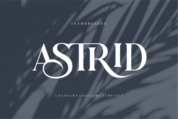 Astrid editorial serif font