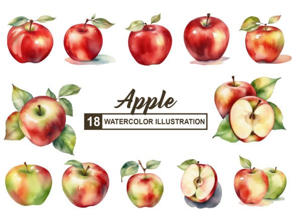 Apple Watercolor Graphic Illustrations By Vectalux
