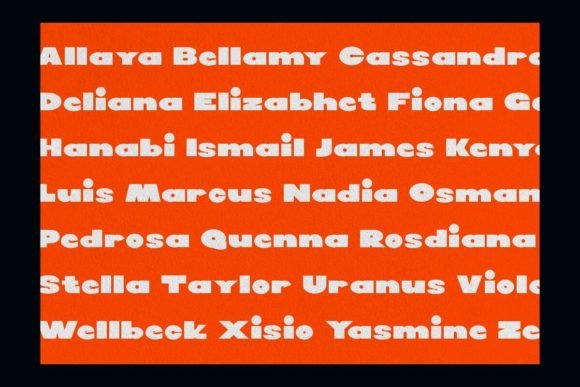 Bold Fintia Font - Preview 5