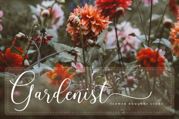 Larisathin Font PNG with transparent background - Preview 2