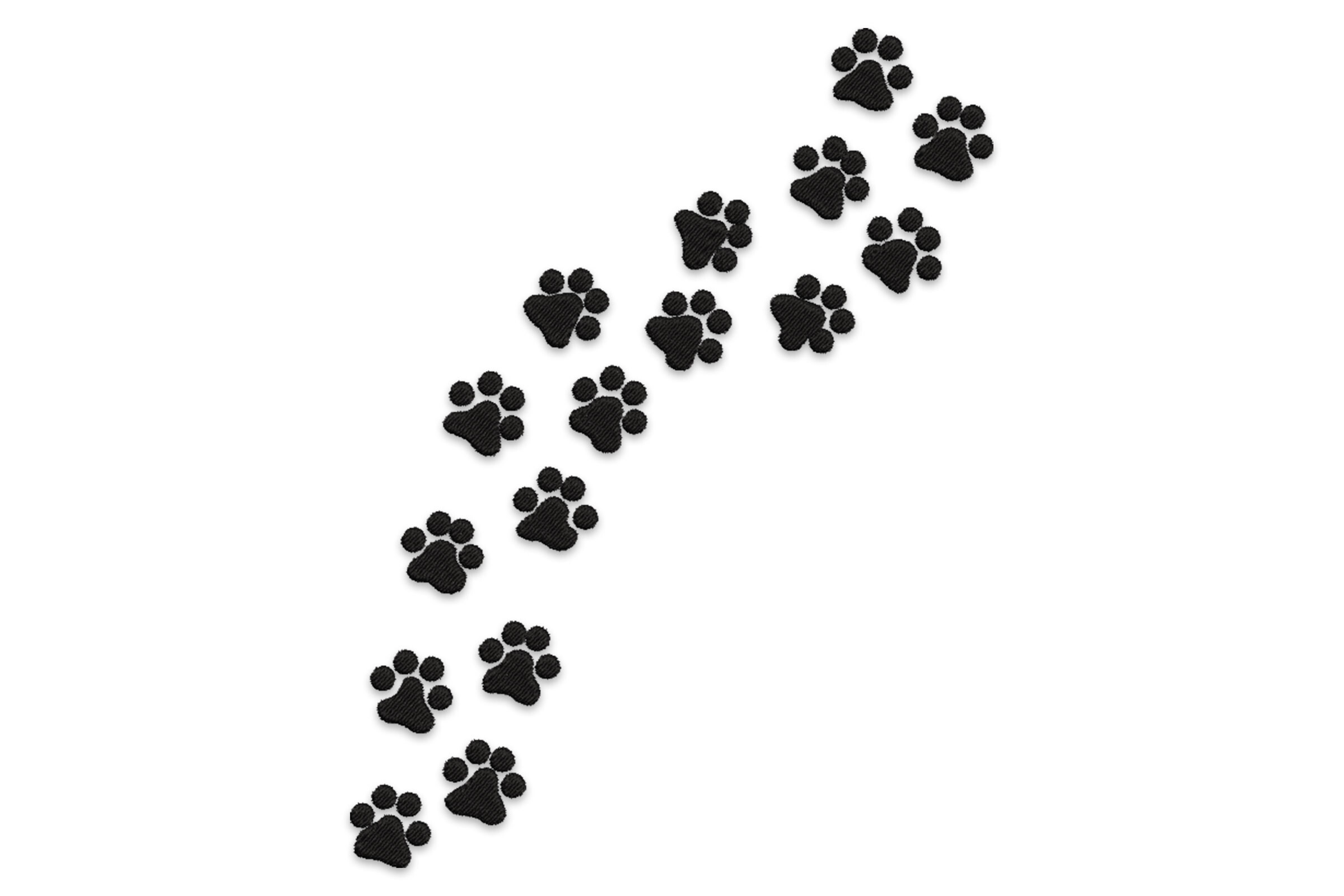 Paw Prints Trail