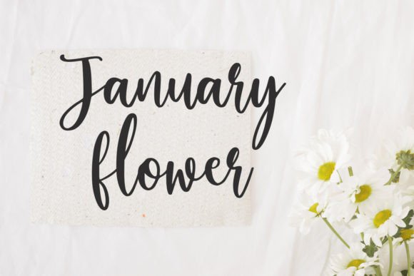 Muchas Font PNG with transparent background - Preview 4