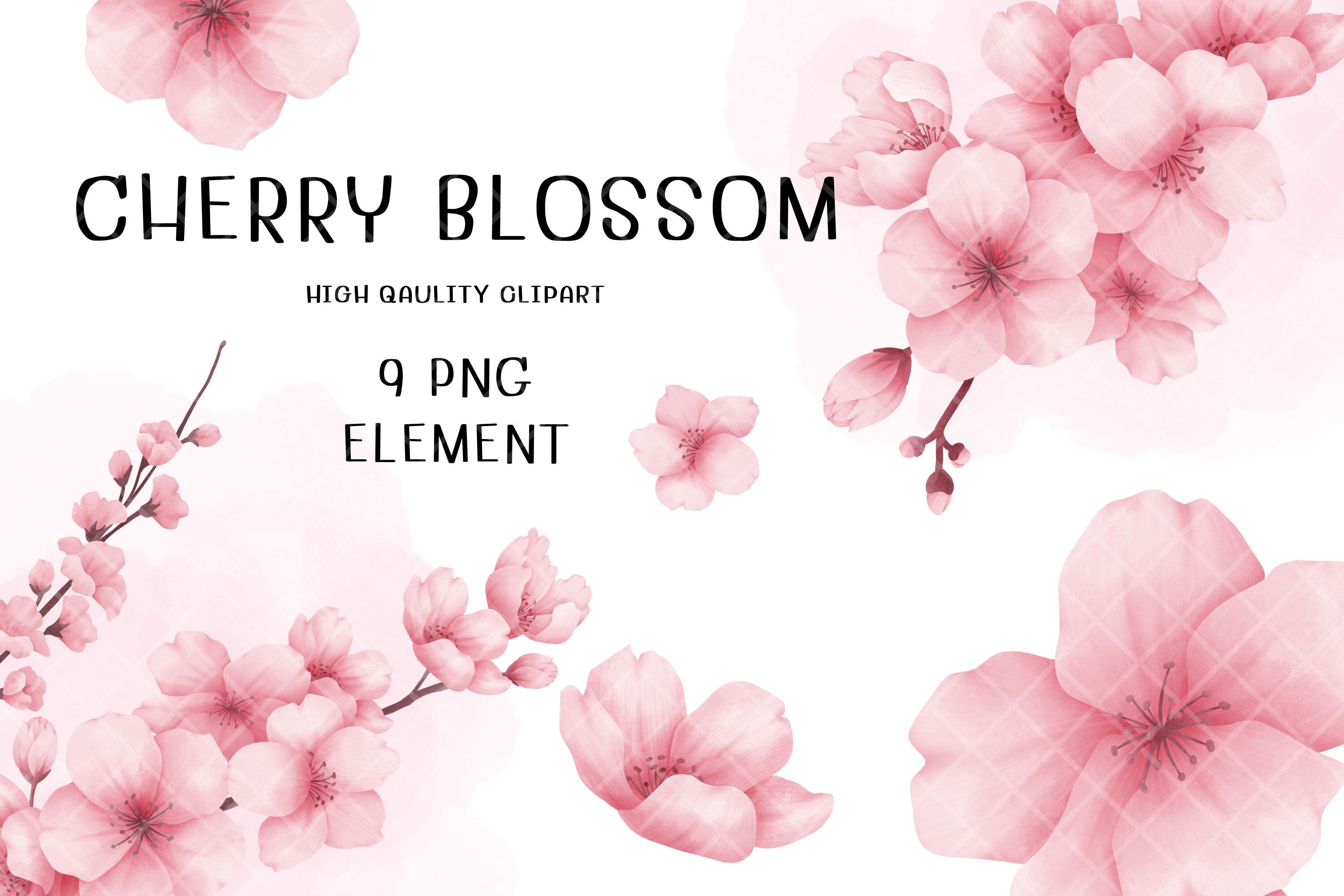 Cherry Blossom Watercolor Drawing