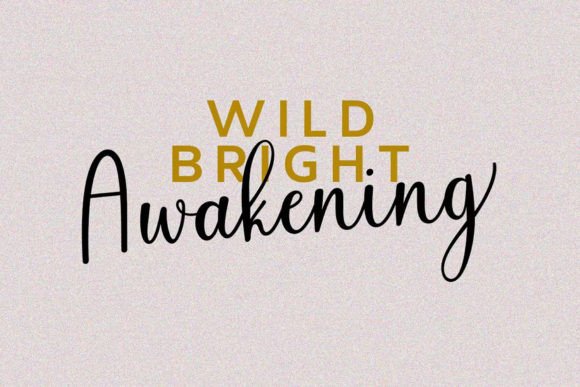 Nazelia Script Font PNG with transparent background - Preview 5