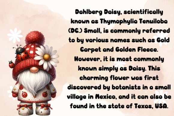 Daisy Ladybug Font - Preview 2