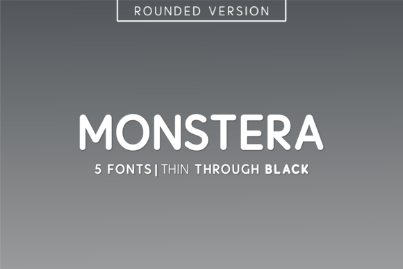 Monstera Font by Huntype · Creative Fabrica font preview