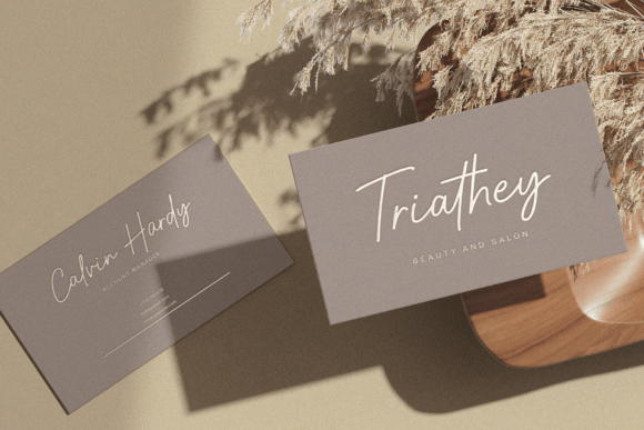 Riday Parcia Font PNG with transparent background - Preview 1