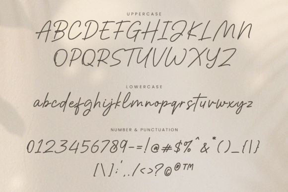 Riday Parcia Font PNG with transparent background - Preview 5