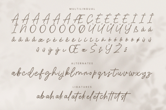 Riday Parcia Font PNG with transparent background - Preview 6